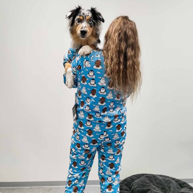FuzzYard koiran pyjama, Arctic Age