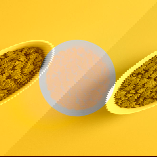 SMAAK viljaton possu-lammas aikuiselle koiralle (10 kg)