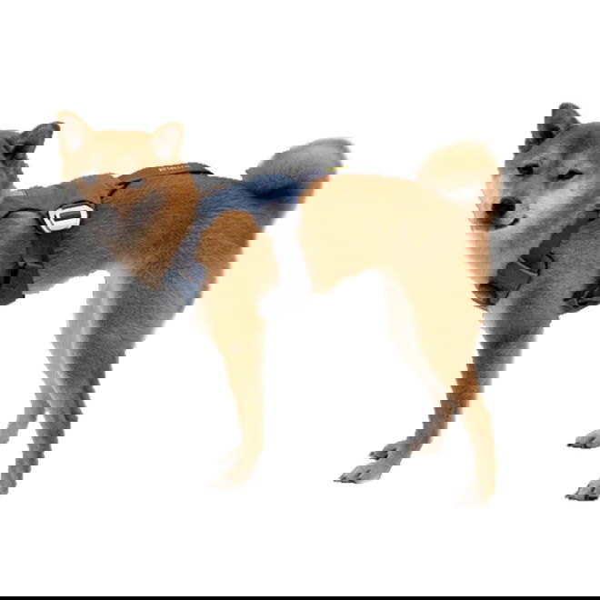 Ruffwear Load Up valjas Slate Blue