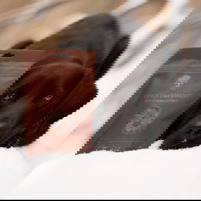 ESSENTIAL Beef & Herb Squares 125 g