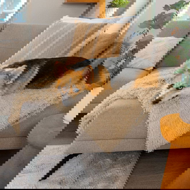 Peitto Best Friends by Sheri 75x100cm