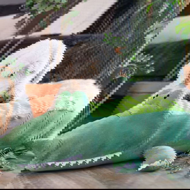Beeztees Hide N Seek Jungle Crocodile