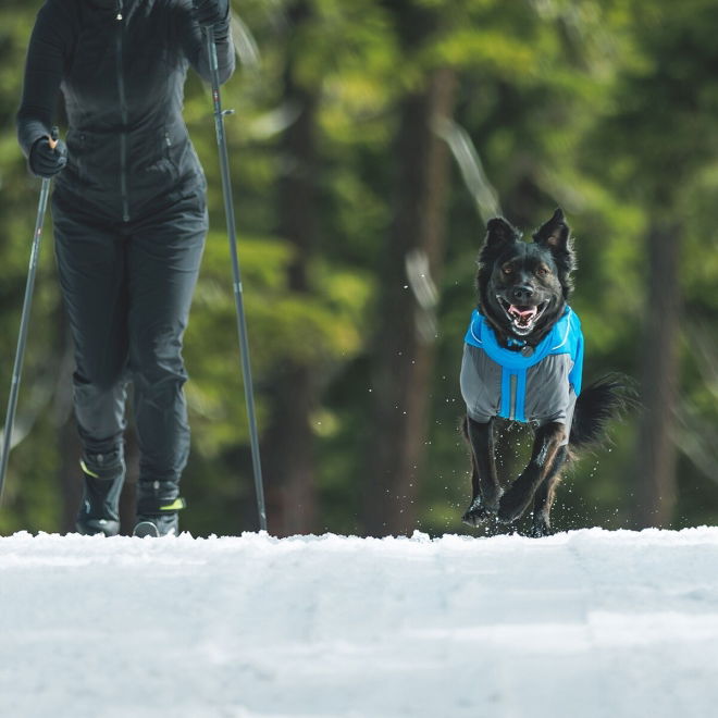 Ruffwear Vert koiran talvihaalari, sininen