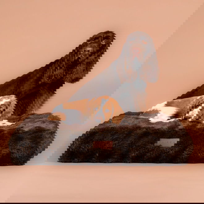 Ortopedinen koiran patja PAIKKA Lounge