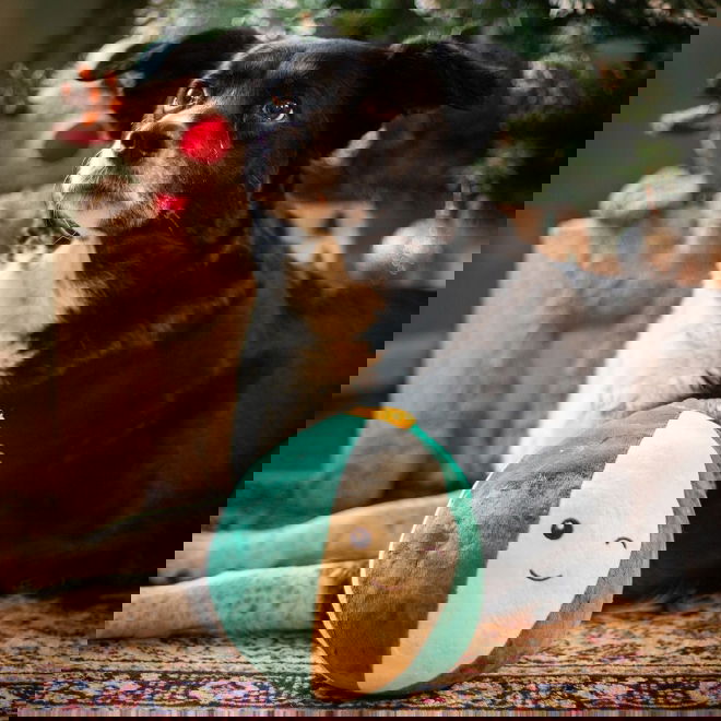 Rosewood Xmas Pehmolelu Xl Kuusenkoriste