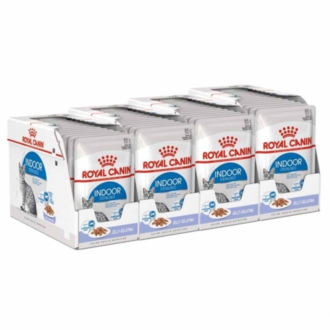 Royal Canin Indoor Jelly 85 g, 48-pack