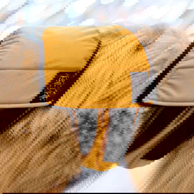 RuttuNuttu urosvyö, Amber Leaf