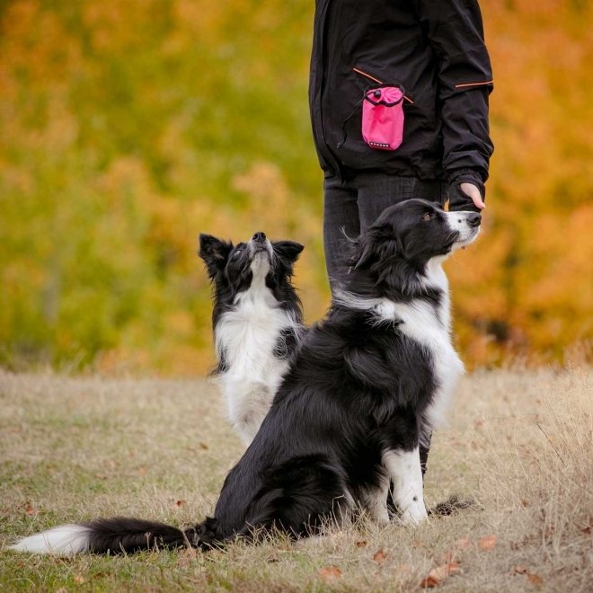 Koiran makupalapussi Pro Dog Treat (Pinkki)