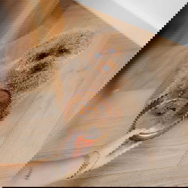 Lasikuppi District 70, Dawn samppanja (640ml)