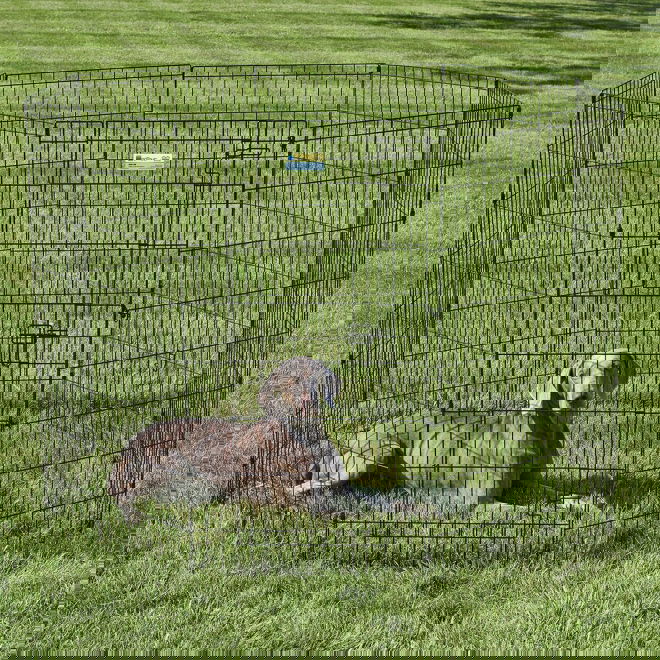 Pentuaitaus Midwest Contour (61x122cm)