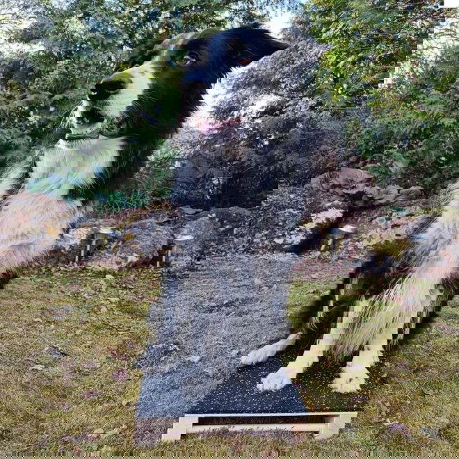 Loype Hamtal Tartan kumipäällysteinen puutargetti