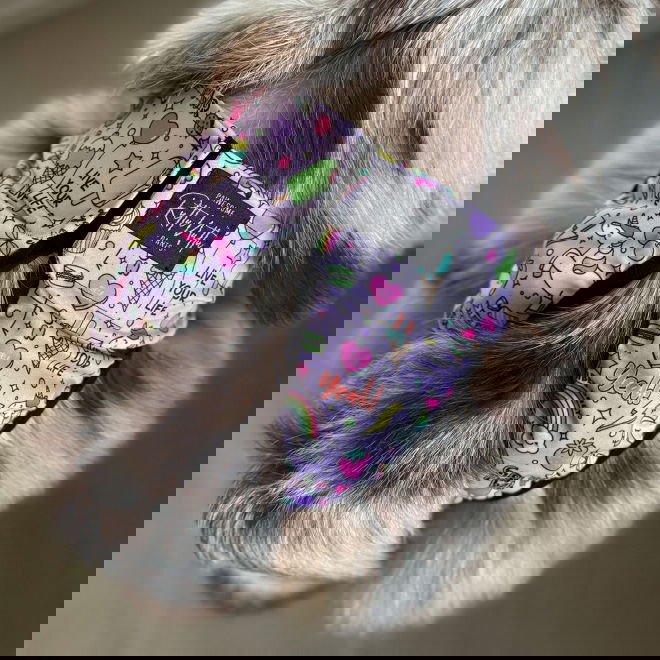 RuttuNuttu juoksup&ouml;ksyt kietaisumalli, Born to unicorn