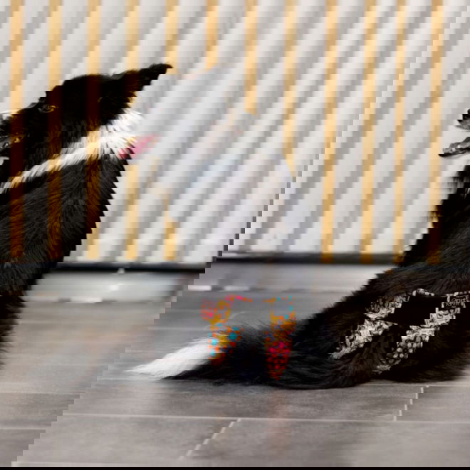 RuttuNuttu juoksup&ouml;ksyt kietaisumalli, Kaleido Rush