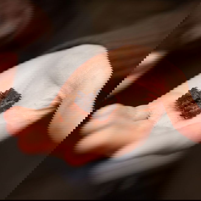 ESSENTIAL Lamb Mini Delights 100g