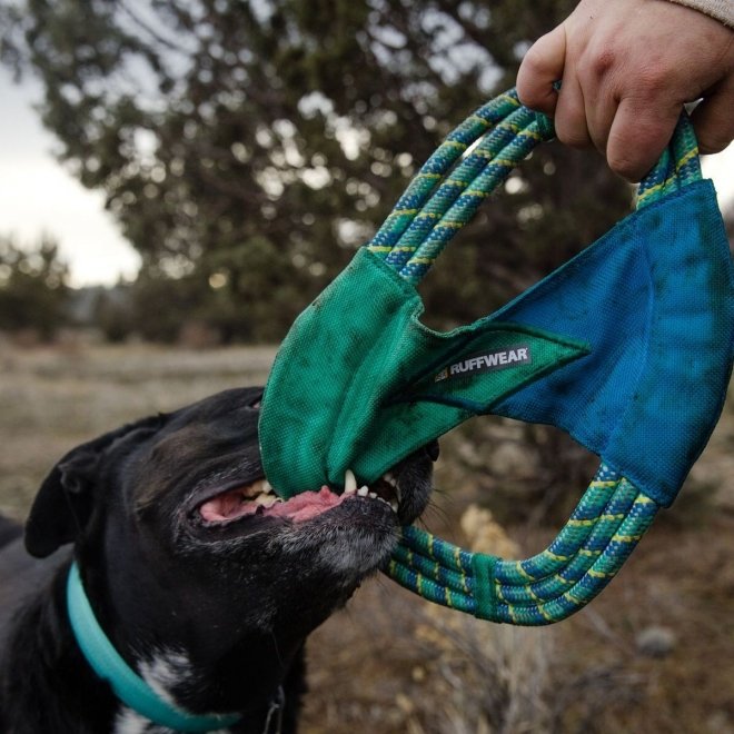 Ruffwear Pacific Ring koiranlelu, turkoosi