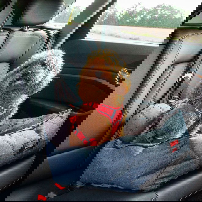 Koiran autoistuin KONG Ultimate