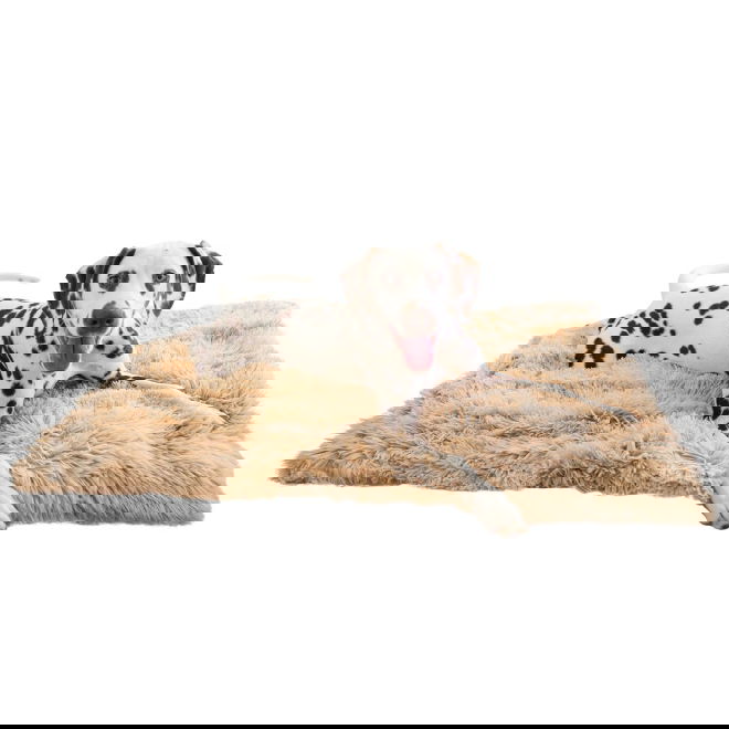 Peitto Best Friends by Sheri 75x100cm