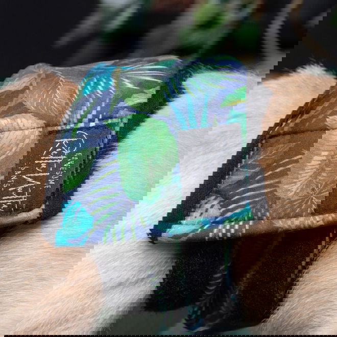 RuttuNuttu urosvyö, Jungle monstera