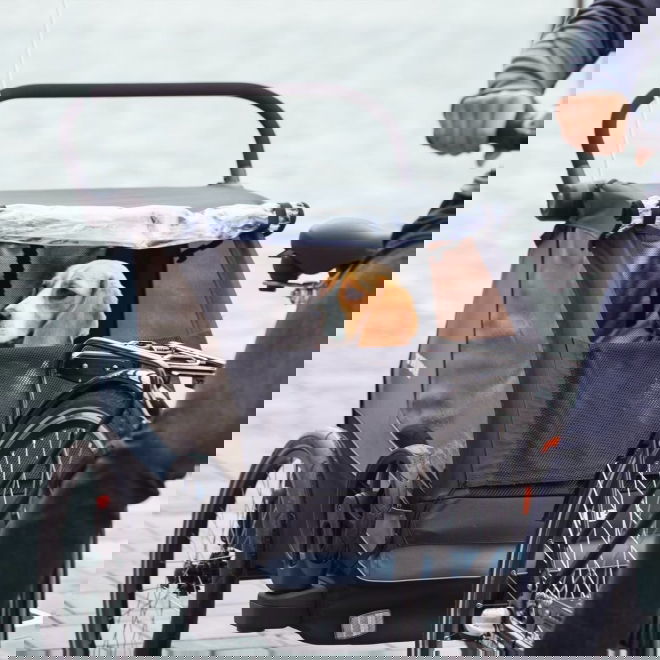 Thule Courier -koirankuljetusk&auml;rry