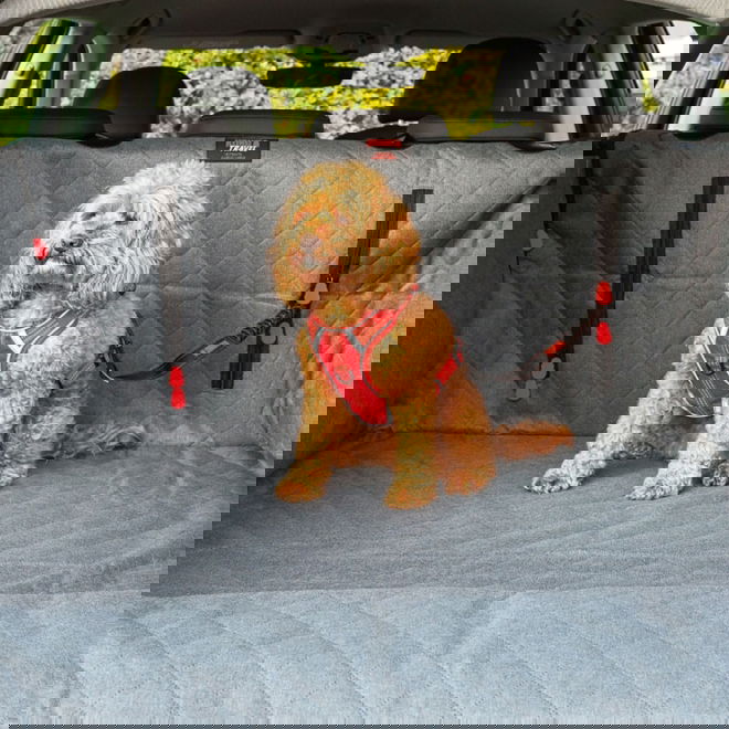 Tavaratilansuoja KONG Ultimate