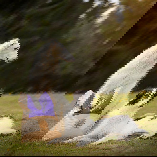 ESSENTIAL ESTATE LIVING 10kg