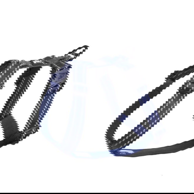 Feel Active Padded valjaat, sininen