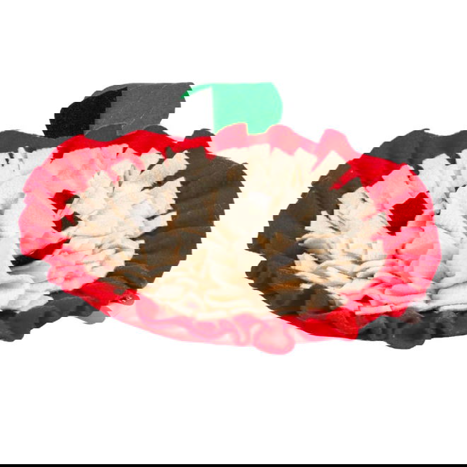 Duvoplus Nuuskumatto koiralle, omena