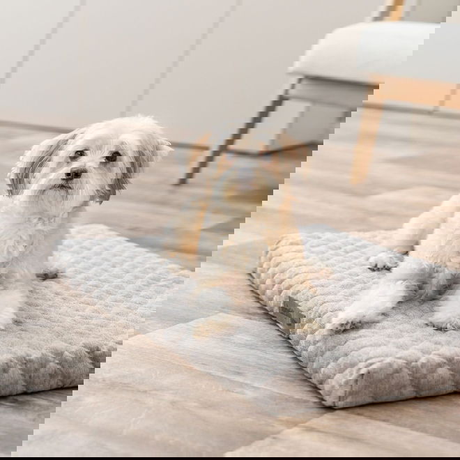 Ortopedinen patja Trixie Noah