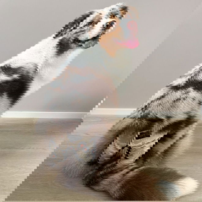 RuttuNuttu juoksup&ouml;ksyt kietaisumalli, daisies