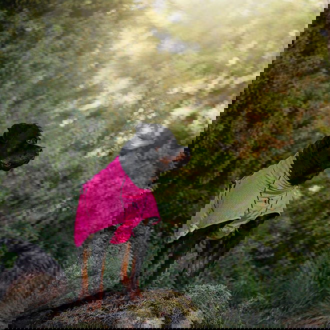 Back on Track verkkoloimi Limited Edition, Hot Pink