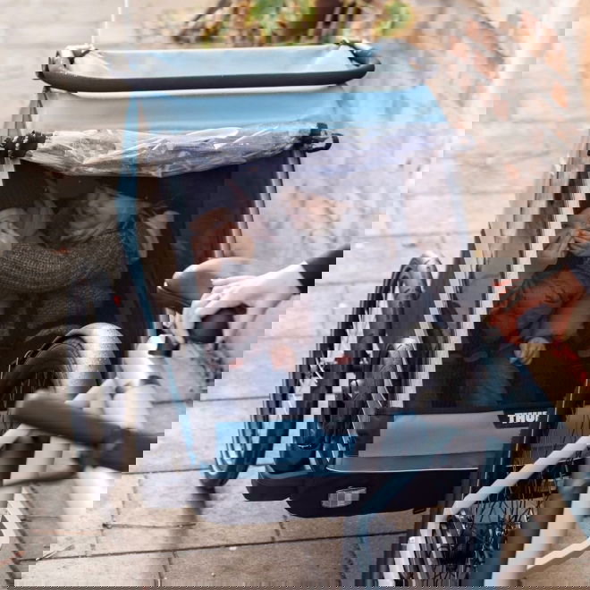 Thule Courier -koirankuljetusk&auml;rry