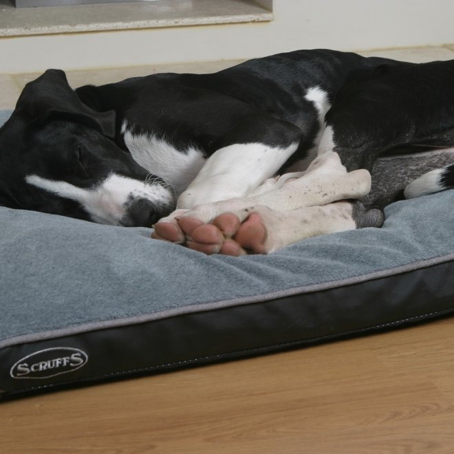 kingpets memory foam dog bed