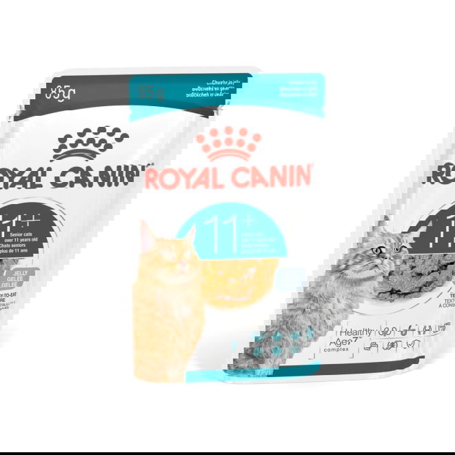 Royal Canin FHN Ageing 11+ hyytelössä 12 x 85 g