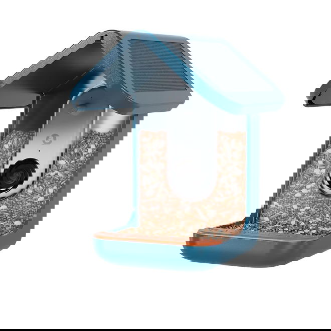 Bird Buddy -lintulauta kameralla