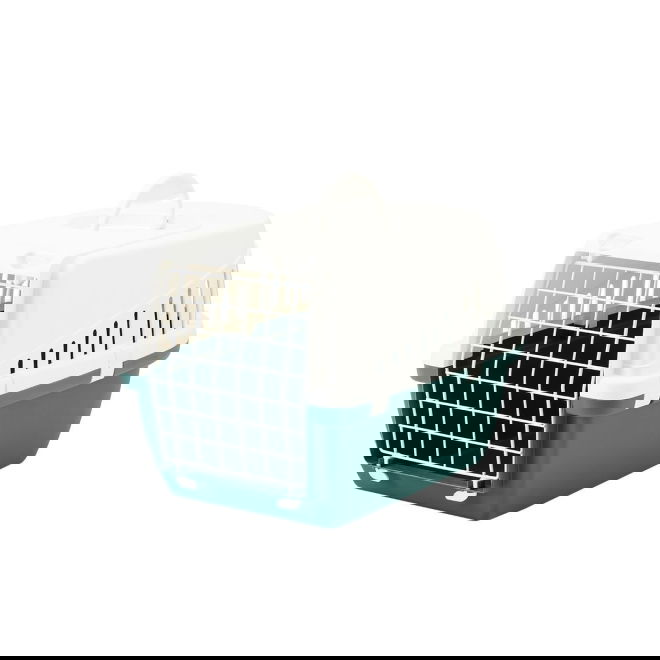 Kuljetuslaatikko Savic Trotter, vihre&auml;