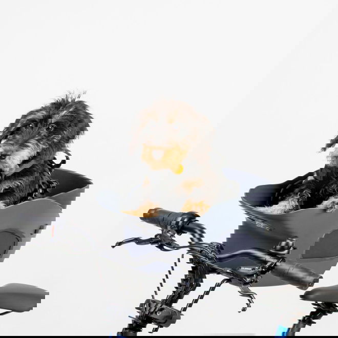 Kvisp py&ouml;r&auml;kori matkavaljailla