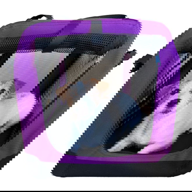 Nylonhäkki PetEasy, violetti