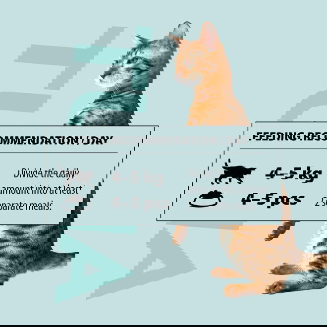 PrimaCat Tonnikalaa liemessä (4 x 40 gram)