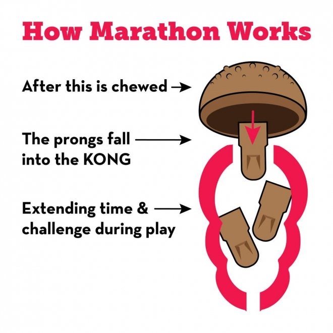 KONG Marathon 2-pack Chicken