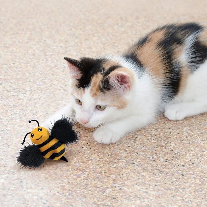 KONG Cat Buzz Bee kissanminttulelu