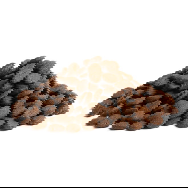 ESSENTIAL STAMINA 10kg