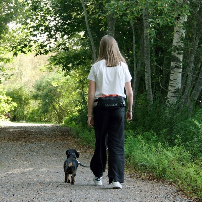 Baggen Nova laukku vetovyöhön