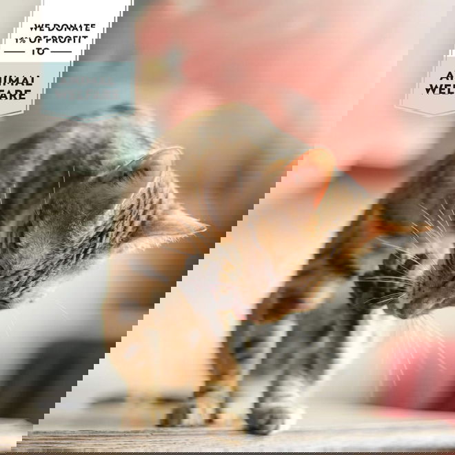 PrimaCat Tonnikalaa liemessä (4 x 40 gram)