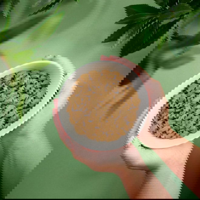 Purenatural Sensitive Salmon (12 kg)