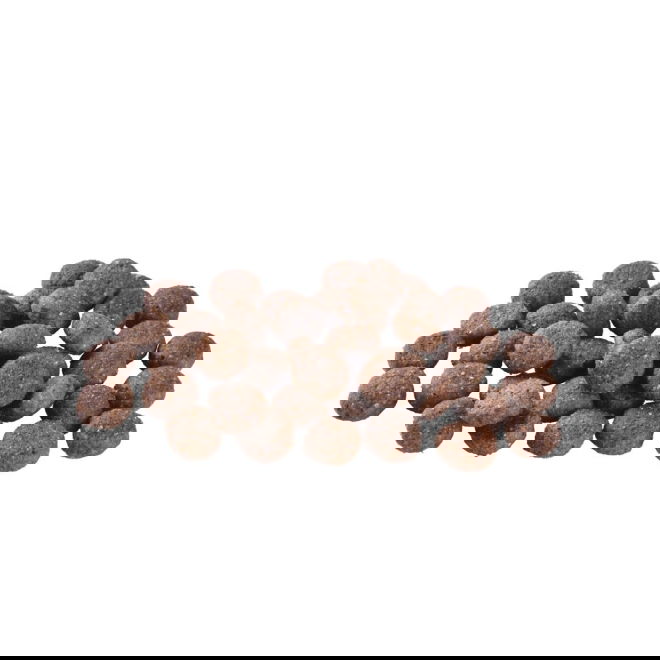 Brit Care Dog Adult Grain Free Salmon (1 kg)