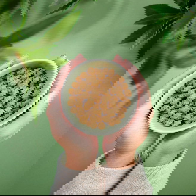 Purenatural Cat Adult Large Chicken (10 kg)