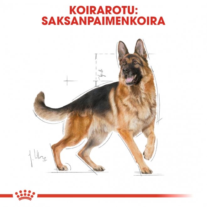 Royal Canin German Shepherd Adult 11 kg