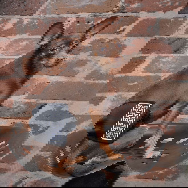 RuttuNuttu urosvyö, Balls