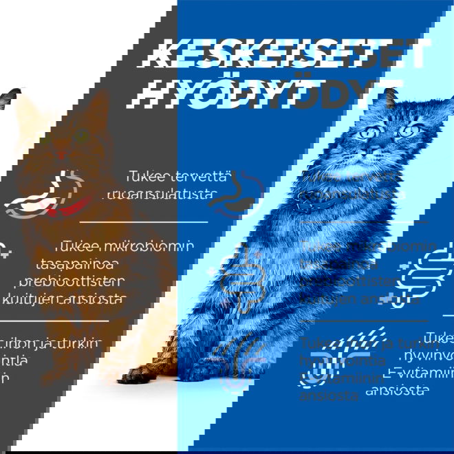 Hills Science Plan Cat Adult Sensitive Stomach & Skin Turkey 12x85g