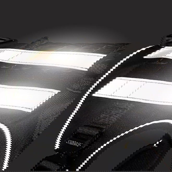 Cerberos kylkiheijastimet valjaisiin, 2 kpl